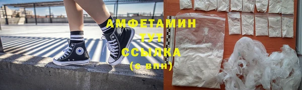 дмт Богданович