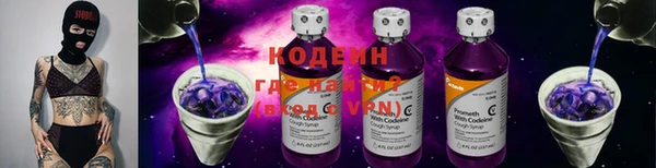 дмт Богданович