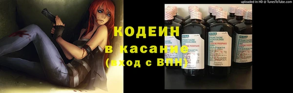 дмт Богданович