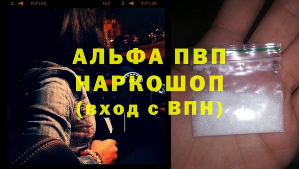 дмт Богданович