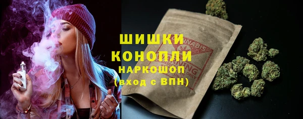 дмт Богданович