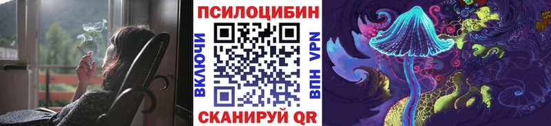 Псилоцибиновые грибы прущие грибы  Купить где  Прохладный 
